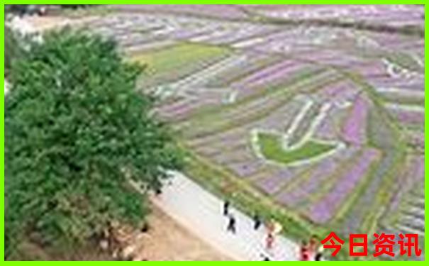 南京四天三晚旅游攻略
