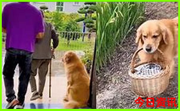 夏天旅游景点推荐